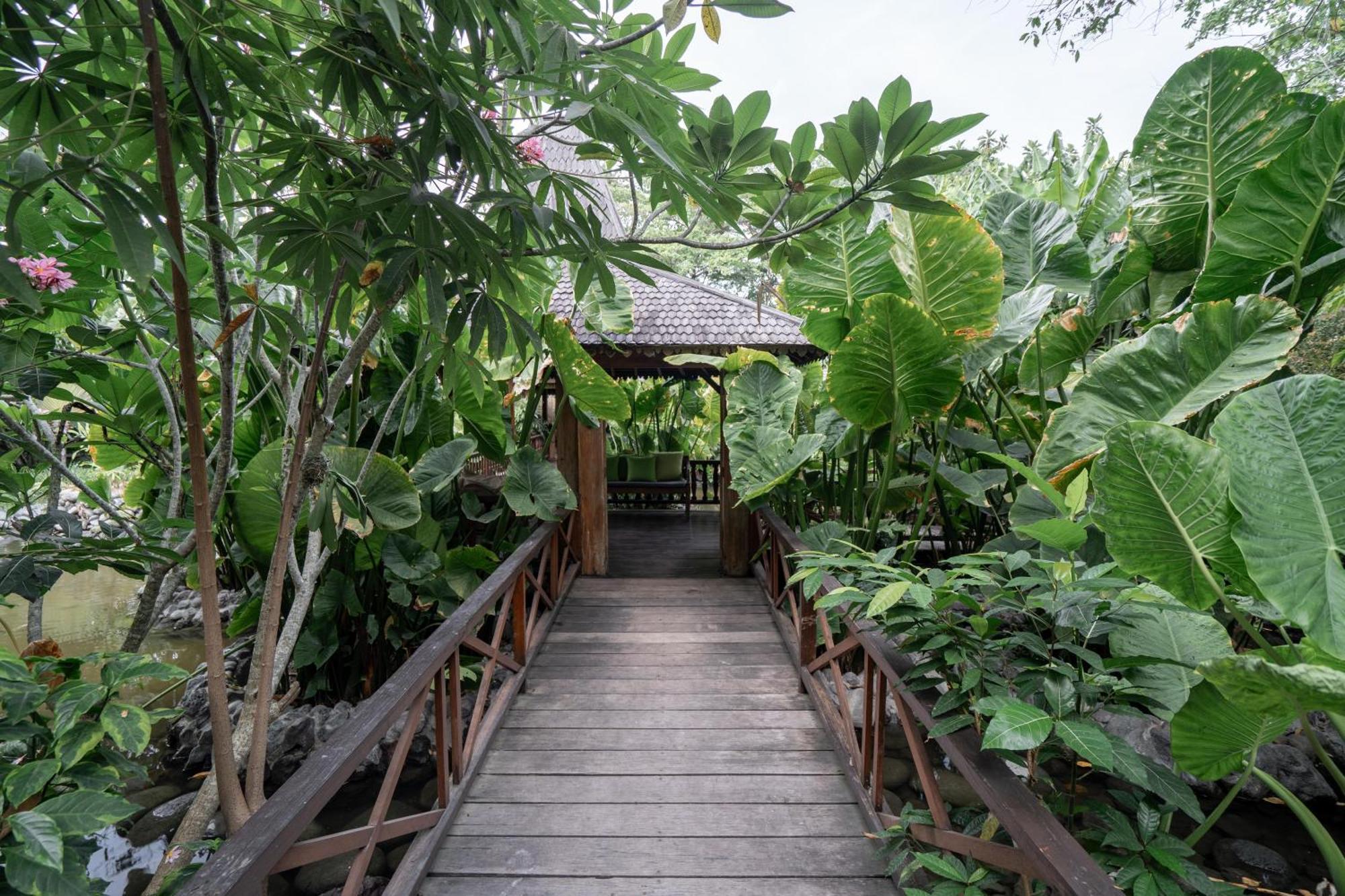 Kropak Canggu Экстерьер фото